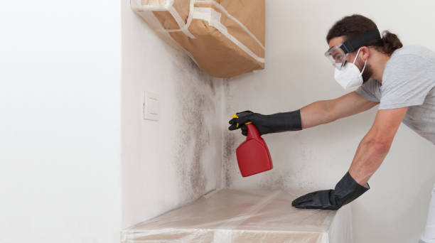 Professional Mold Remediation technician working in Hallieford, VA