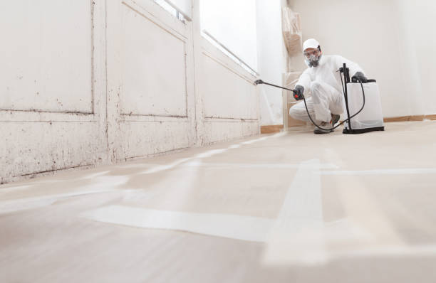 24/7 Emergency Mold Remediation experts in Hallieford, VA